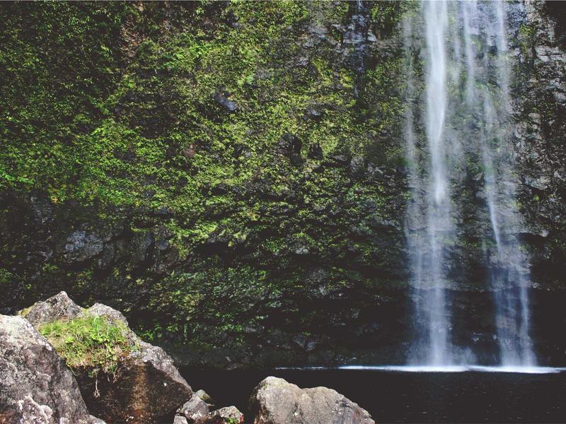 sudoku unique solution screenshot 6